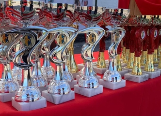 16.11.2024 – м. Кропивницький – змагання з нормативу «Міський собака» та «Хендлер Профі»