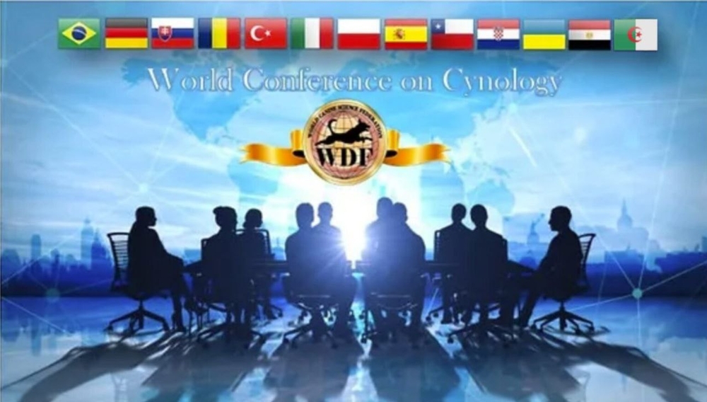 Всесвітня конференція WDF 2025 Всесвітня конференція WDF 2025