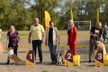 06.10.2024 – м. Дніпро «Дог Альянс» - «Кубок Дніпра-2024»