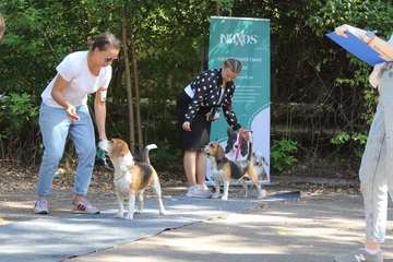 15.09.2024 – м. Кривий Ріг «Гінфорт» - «Кубок Грінфорта-2024»