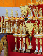 08.09.2024 – м. Кропивницький «Еліта кінологія» - «Кубок фортеці-2024»