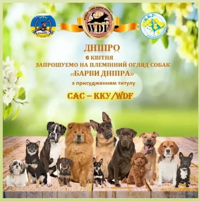 Виставка у Дніпрі