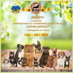 Виставка у Дніпрі