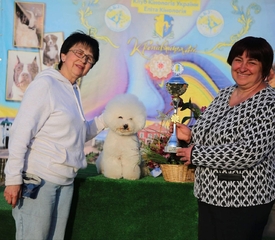 Урочиста виставка собак у місті Кропивницький