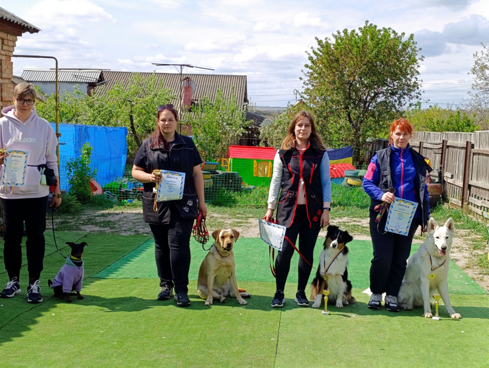 Іспити з дресирування