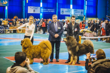  Броварський МО ВГО «КСУ» змагання КСУ з Аджиліті «Співи весни»